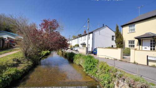 8 Windsor Terrace