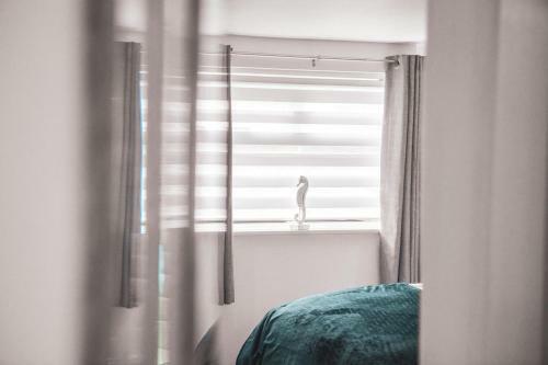 Sandpearl Suite Sasco Apartments