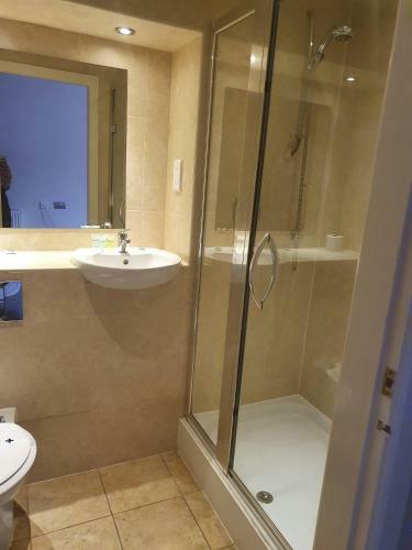 Bed & Breakfast The Birley Arms Hotel