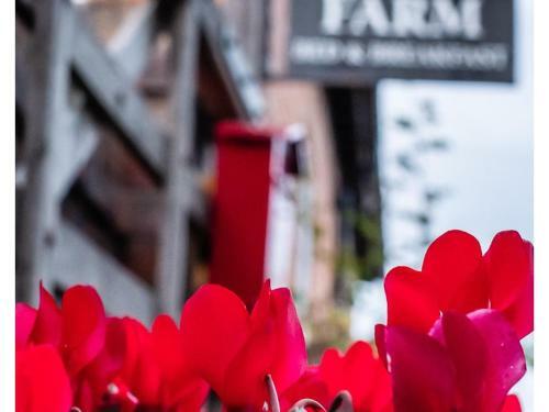 Bed & Breakfast Higher Farm