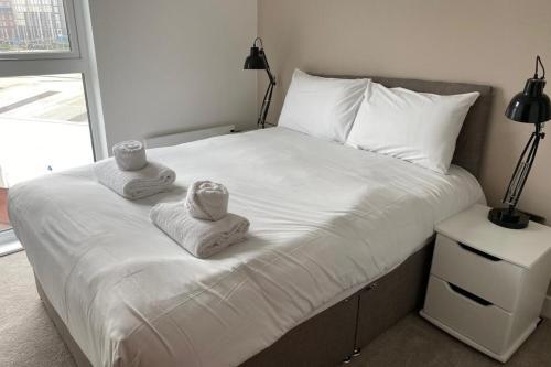 Modern 2 Bedroom Apartment In Manchester