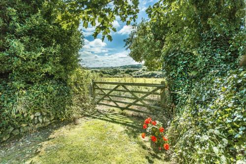 Pear Tree Cottage