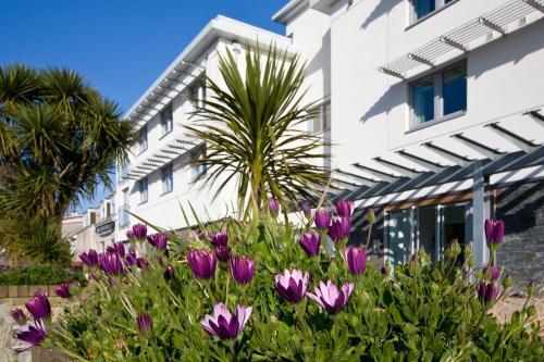 Fistral Beach Garden Apartment 3