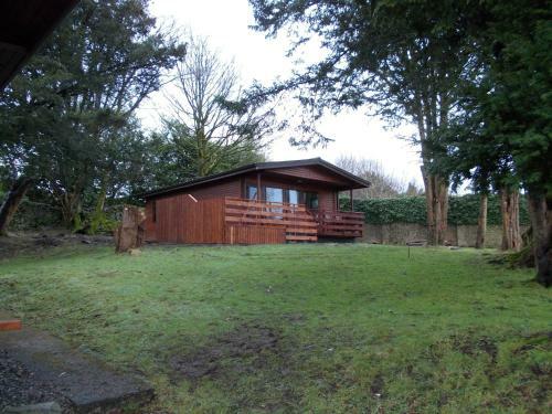 Birch Lodge 23 With Hot Tub Newton Stewart