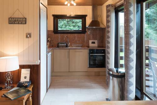 Birch Lodge 23 With Hot Tub Newton Stewart