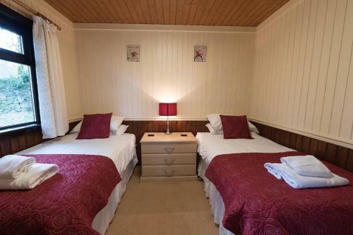 Birch Lodge 23 With Hot Tub Newton Stewart