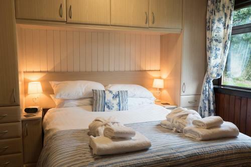 Birch Lodge 23 With Hot Tub Newton Stewart