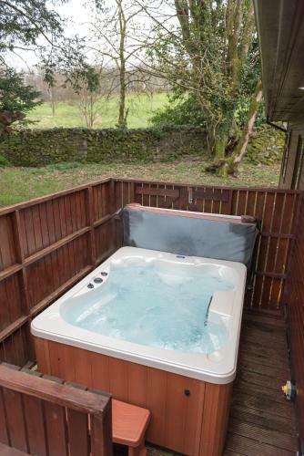 Birch Lodge 23 With Hot Tub Newton Stewart