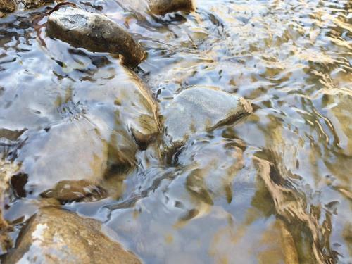 Lovely Riverside Cabin In Shropshire