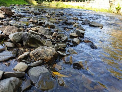 Lovely Riverside Cabin In Shropshire