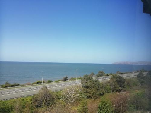 Apartamentos Llys Madoc, The Top Flat
