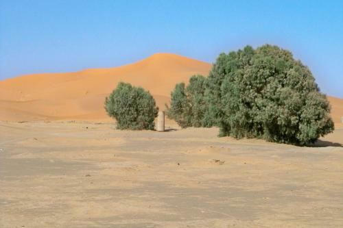 Bed & Breakfast Kasbah Tamariste