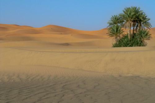Bed & Breakfast Kasbah Tamariste