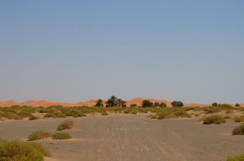 Hotel Kasbah H�tel Erg Chebbi