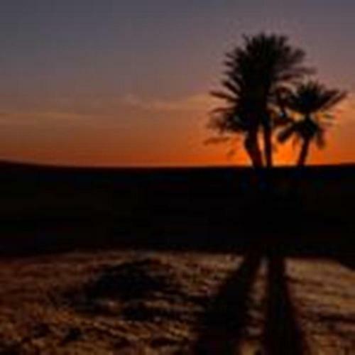 Bed & Breakfast Maison Merzouga Guest House