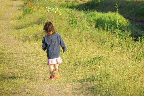 Stunning Luxury Lotus Tent Self Contained Sleeps 6