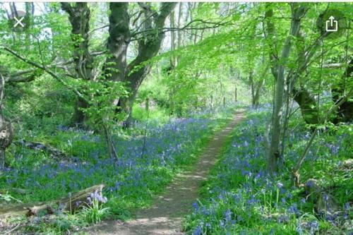 Stunning Luxury Lotus Tent Self Contained Sleeps 6