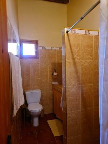 Bed & Breakfast Kasbah Ait Ben Damiette