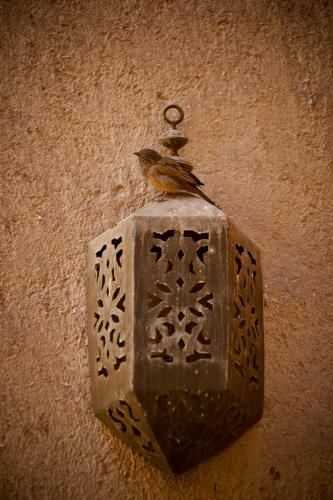 Bed & Breakfast Kasbah Ait Ben Moro