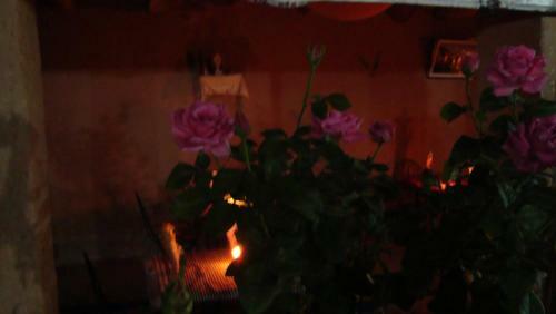 Albergue Auberge Toda