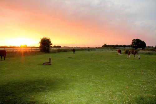 Agroturismo Glamping With Llamas