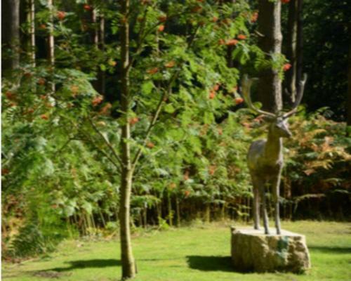 Hollicarrs - Woodland Lodge