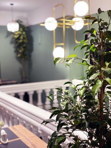 Vera Hills Boutique Hotel
