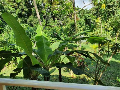 G�te Espace Qui�tude Pavillon Tropical Avec Wifi