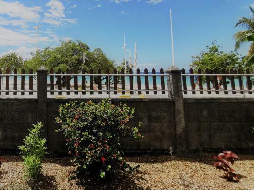 Apartamento T2 Tagua - Sainte-anne Centre - Acc�s Plage � Pied