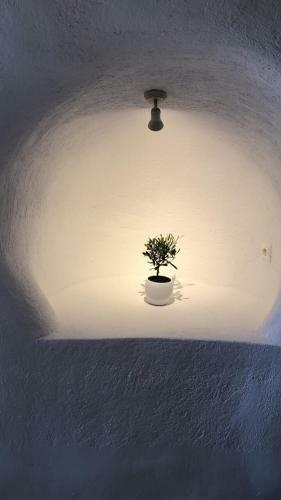Santocaves