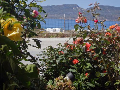 Bed & Breakfast Christos Rooms Milos