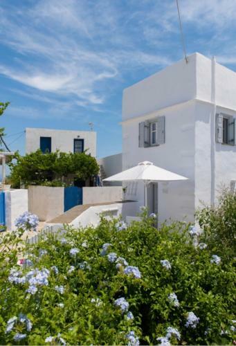 Apartamento Apollonion House