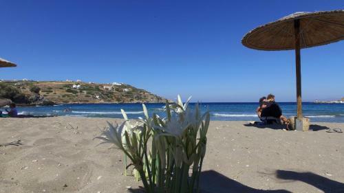 Apartamento Oro Deluxe King Suite