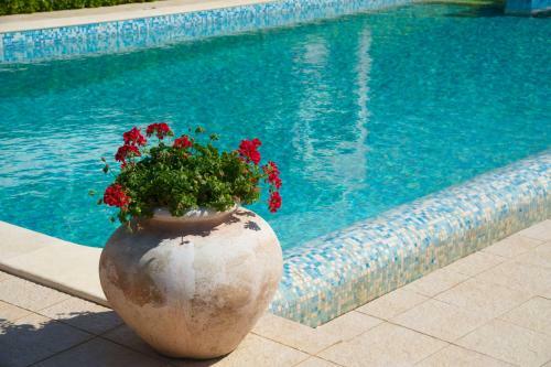 Apartamento Lucia Simona Villas