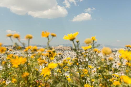 Apartamento Urban Cottage With Garden And Panoramic View