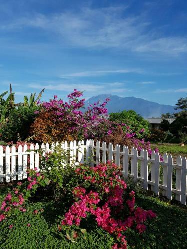 Lodge Sabah Tea Garden @ Cottages