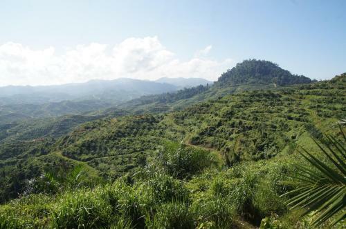 Lodge Sabah Tea Garden @ Cottages