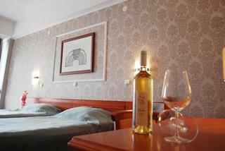 Hotel Drim