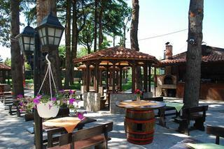 Hotel Drim