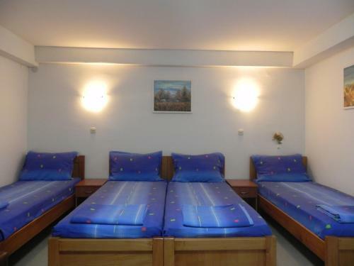 Hostal Villa Ohrid Anastasia