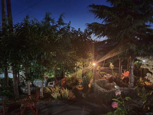 Apartamentos Vila Anastas