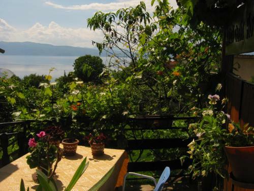 Hostal Risto's Guest House