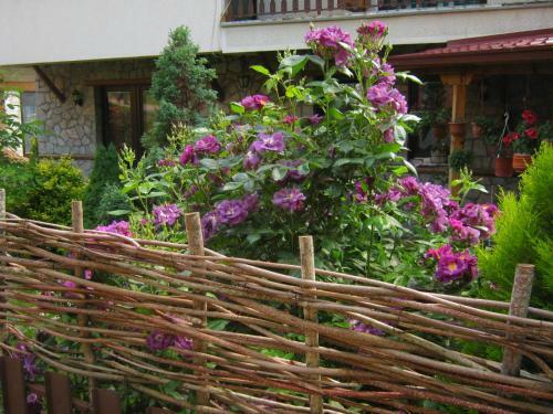 Hostal Risto's Guest House