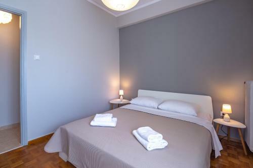 Artemis - Athens Deluxe City Center Apartment
