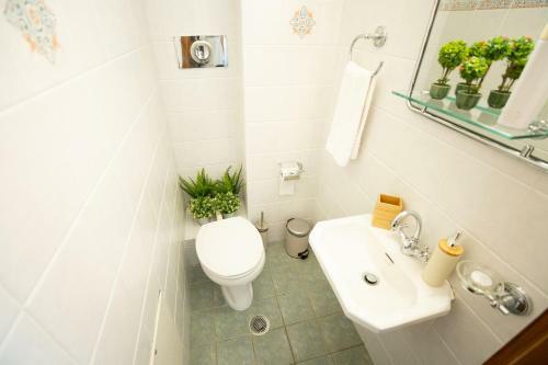 Apartamento Zoes Garden Delphi