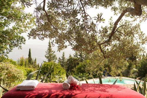 Geromonachos Villa Sleeps 14 With Pool Air Con And Wifi