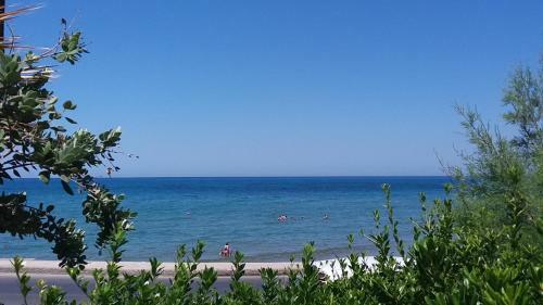 The Island Hotel - Adults Only -