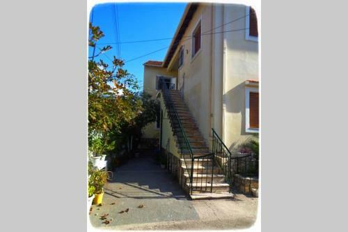 Apartamento ~peacock House~