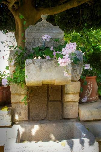 Garden Village Studios & Apartments