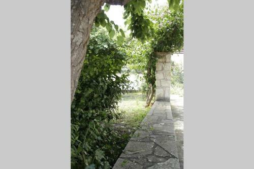 Theano Traditional House Mountain And Field View
